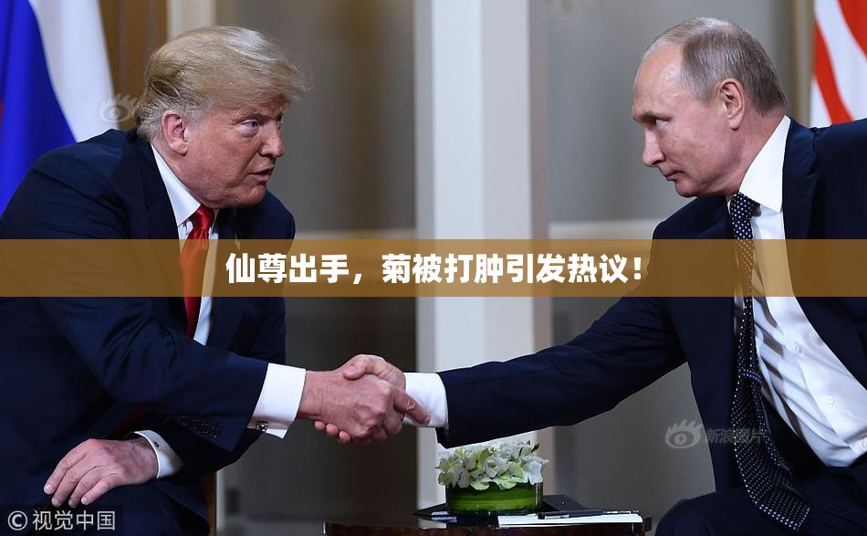 仙尊出手，菊被打肿引发热议！