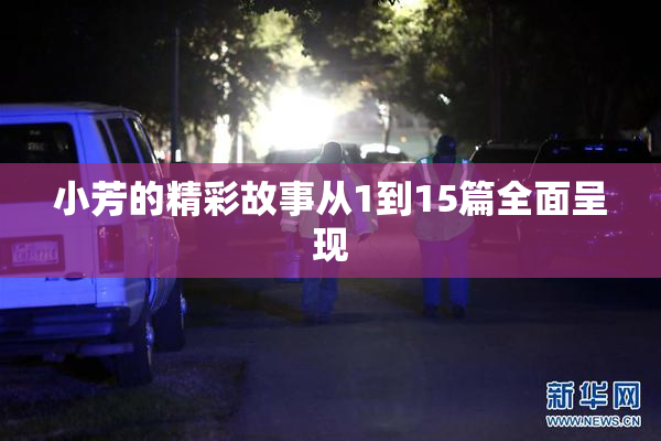 小芳的精彩故事从1到15篇全面呈现