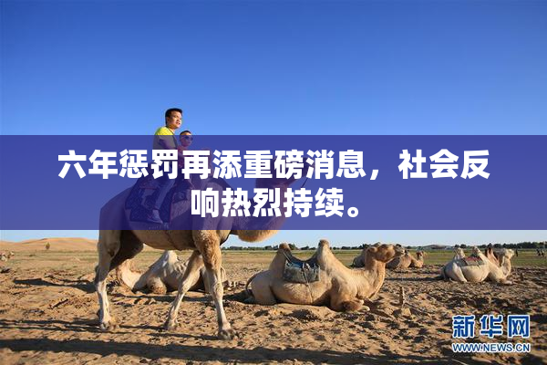 六年惩罚再添重磅消息，社会反响热烈持续。