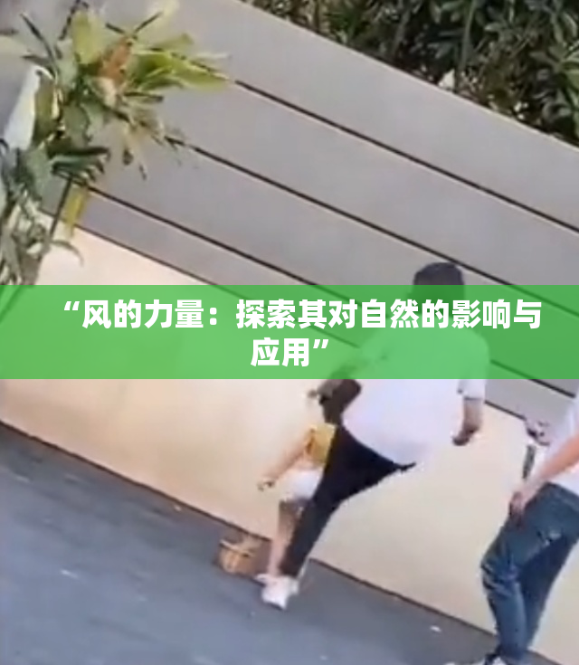 “风的力量：探索其对自然的影响与应用”