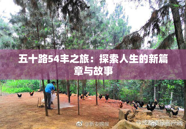 五十路54丰之旅：探索人生的新篇章与故事