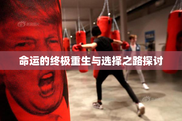 命运的终极重生与选择之路探讨
