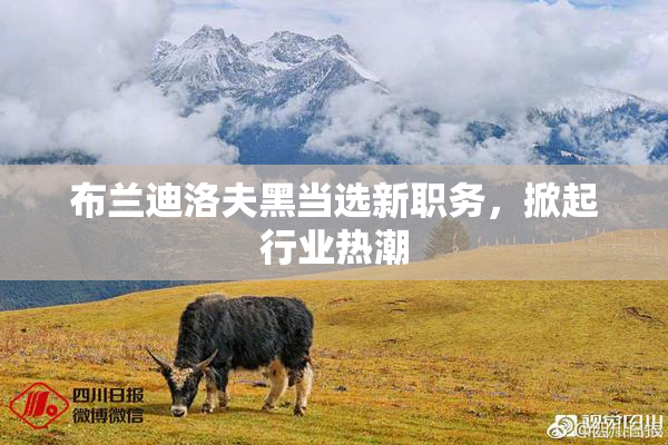 布兰迪洛夫黑当选新职务，掀起行业热潮