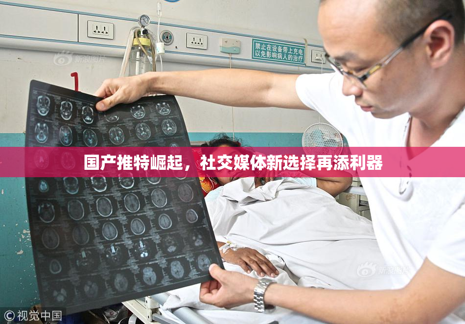 国产推特崛起，社交媒体新选择再添利器