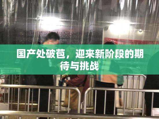 国产处破苞，迎来新阶段的期待与挑战