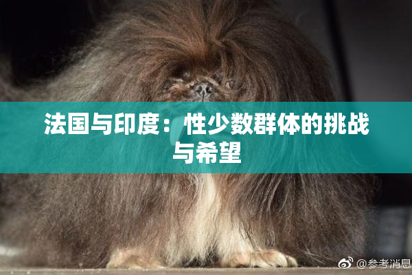 法国与印度：性少数群体的挑战与希望