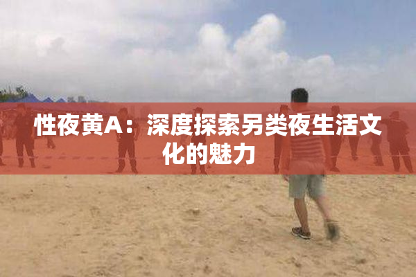 性夜黄A：深度探索另类夜生活文化的魅力
