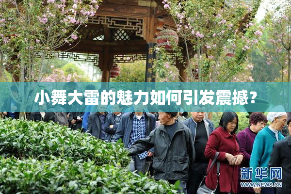 小舞大雷的魅力如何引发震撼？