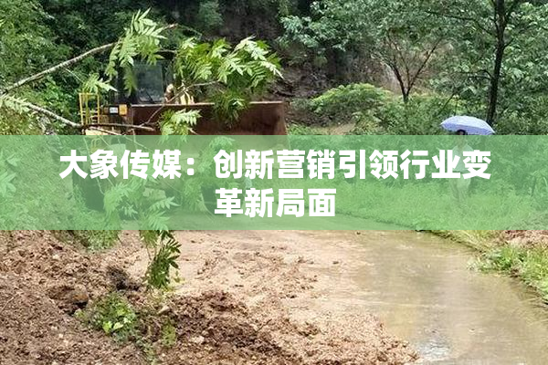 大象传媒：创新营销引领行业变革新局面