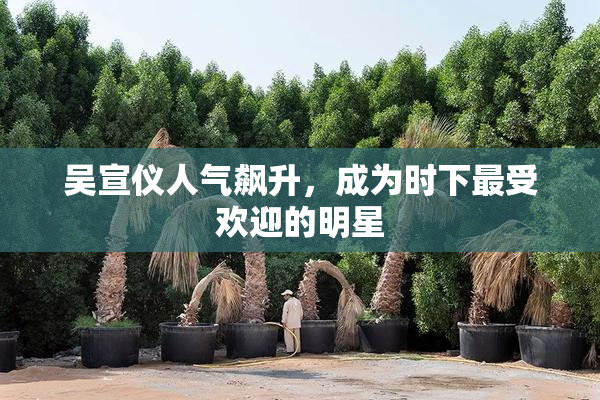 吴宣仪人气飙升，成为时下最受欢迎的明星