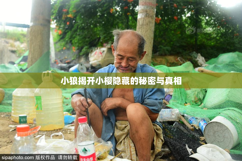 小狼揭开小樱隐藏的秘密与真相
