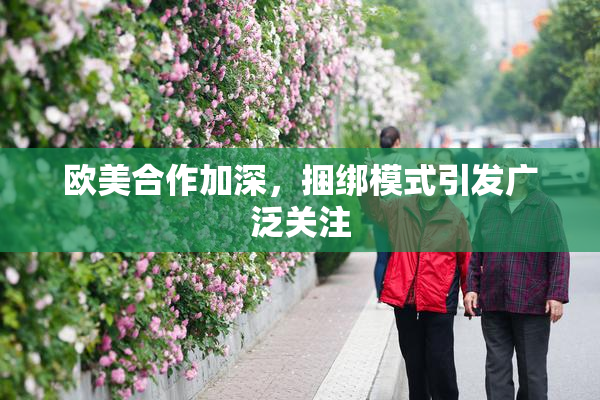 欧美合作加深，捆绑模式引发广泛关注