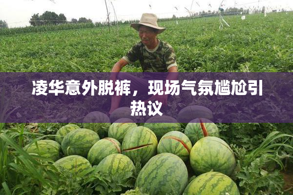 凌华意外脱裤，现场气氛尴尬引热议