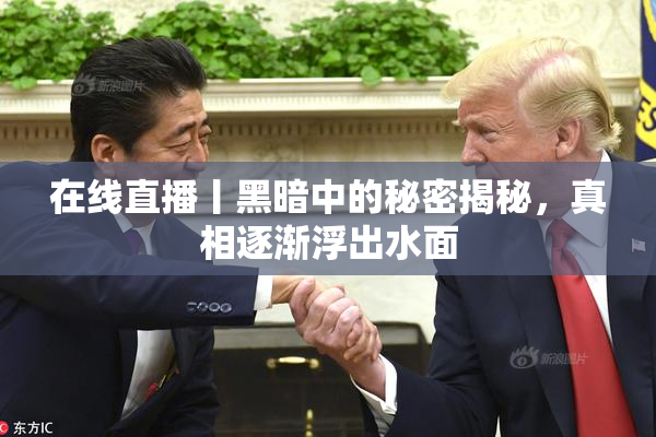 在线直播丨黑暗中的秘密揭秘，真相逐渐浮出水面