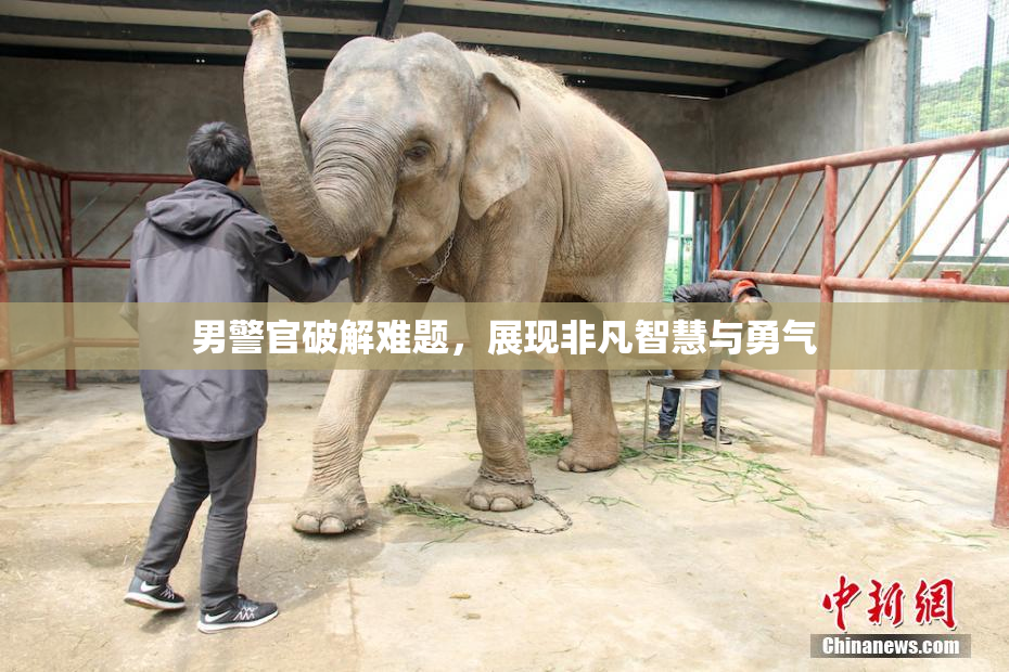 男警官破解难题，展现非凡智慧与勇气