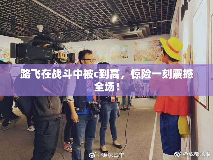 路飞在战斗中被c到高，惊险一刻震撼全场！