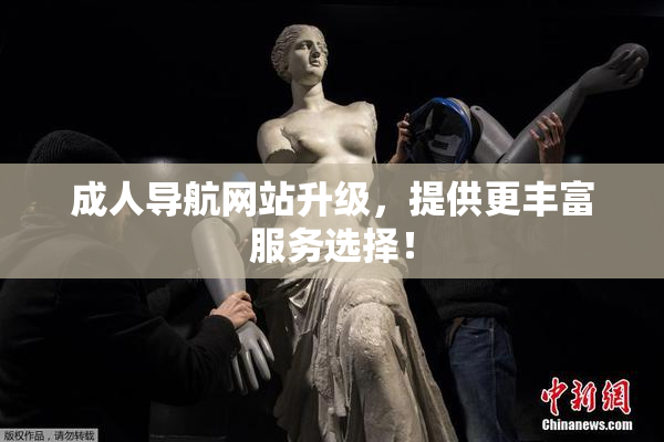 成人导航网站升级，提供更丰富服务选择！