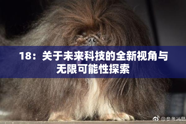 18：关于未来科技的全新视角与无限可能性探索
