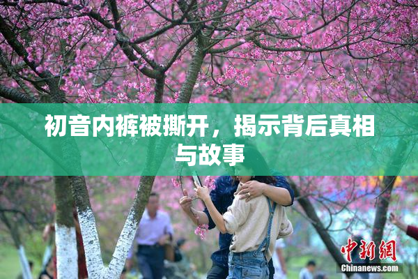 初音内裤被撕开，揭示背后真相与故事