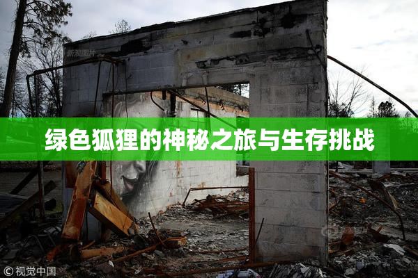 绿色狐狸的神秘之旅与生存挑战