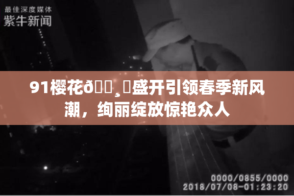 91樱花🌸‌盛开引领春季新风潮，绚丽绽放惊艳众人