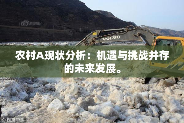 农村A现状分析：机遇与挑战并存的未来发展。