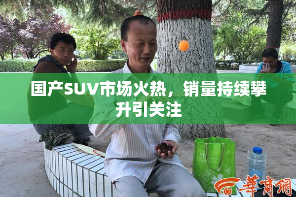 国产SUV市场火热，销量持续攀升引关注