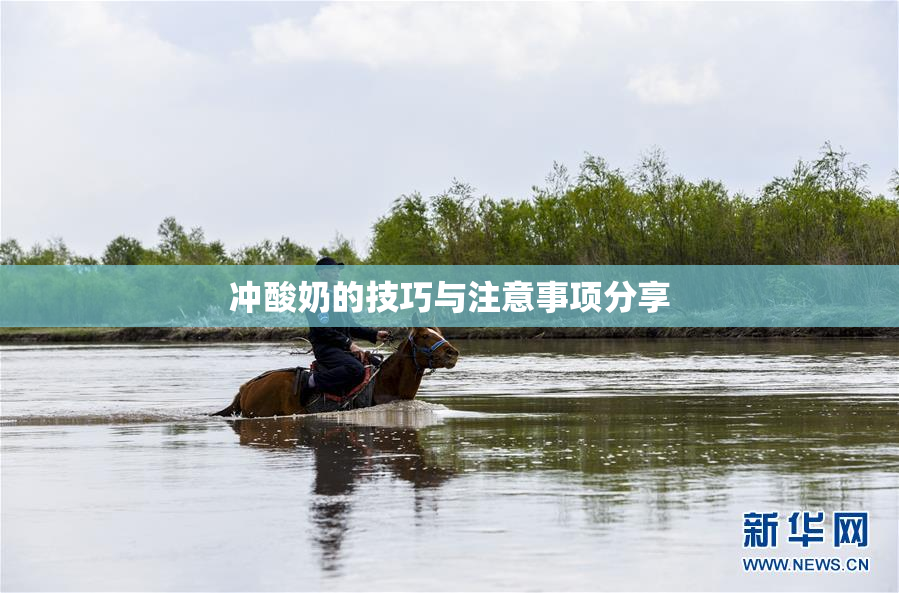冲酸奶的技巧与注意事项分享
