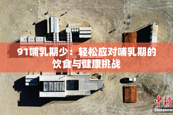 91哺乳期少：轻松应对哺乳期的饮食与健康挑战