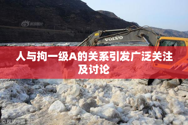 人与拘一级A的关系引发广泛关注及讨论