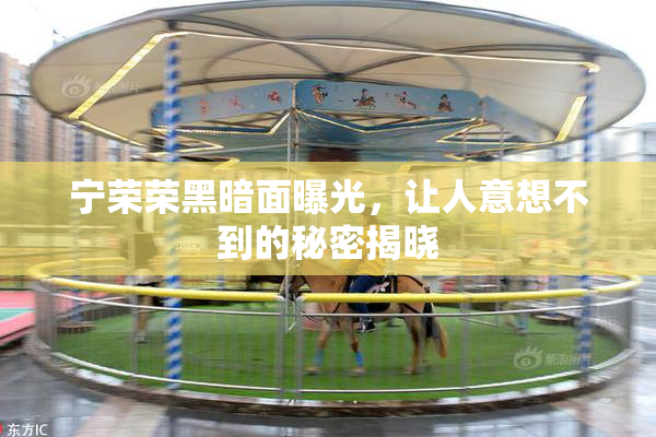 宁荣荣黑暗面曝光，让人意想不到的秘密揭晓
