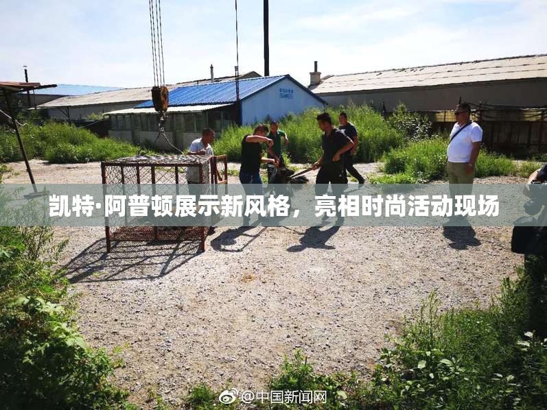 凯特·阿普顿展示新风格，亮相时尚活动现场