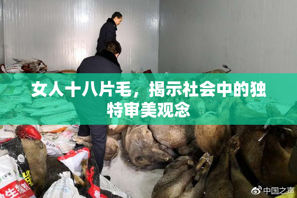 女人十八片毛，揭示社会中的独特审美观念