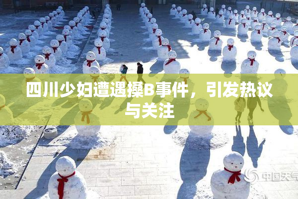 四川少妇遭遇搡B事件，引发热议与关注