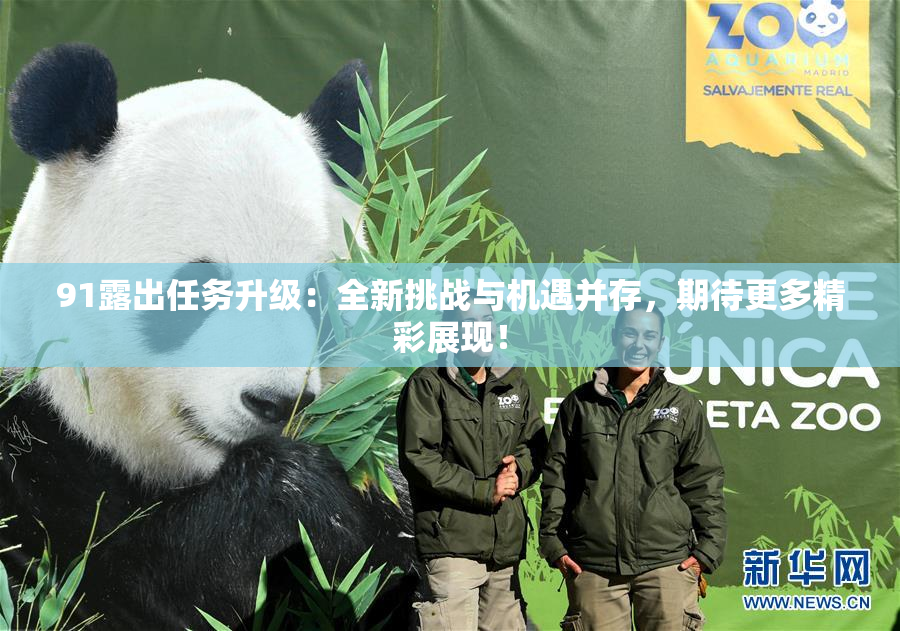 91露出任务升级：全新挑战与机遇并存，期待更多精彩展现！