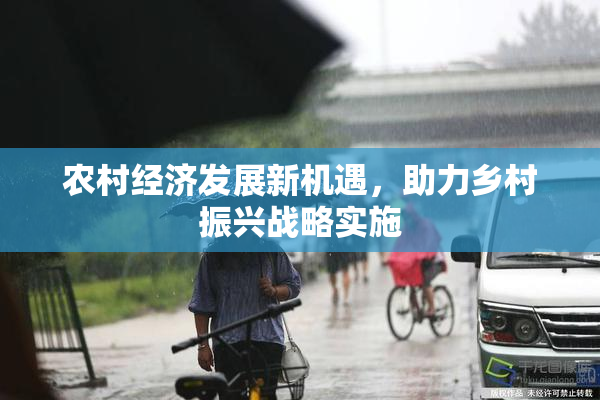 农村经济发展新机遇，助力乡村振兴战略实施