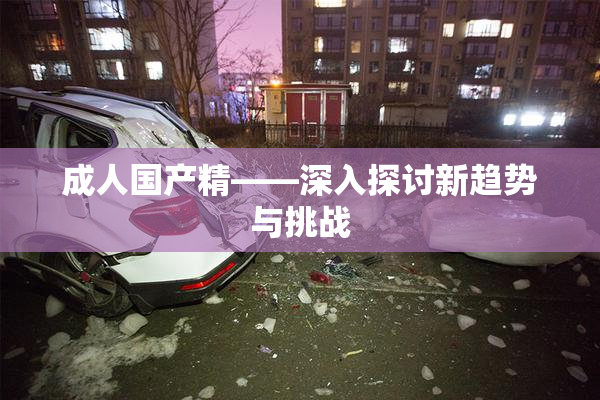 成人国产精——深入探讨新趋势与挑战