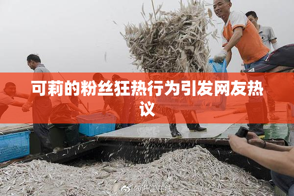 可莉的粉丝狂热行为引发网友热议