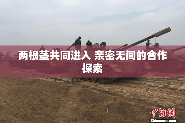 两根茎共同进入 亲密无间的合作探索