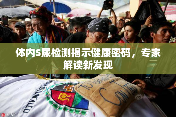 体内S尿检测揭示健康密码，专家解读新发现