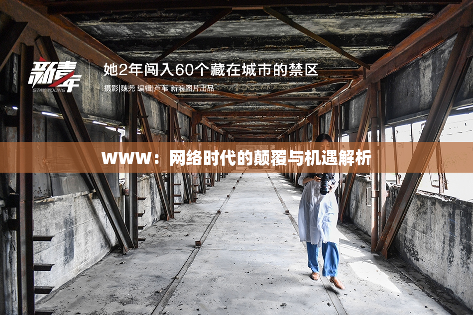 WWW：网络时代的颠覆与机遇解析