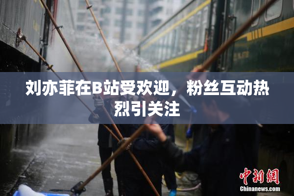 刘亦菲在B站受欢迎，粉丝互动热烈引关注