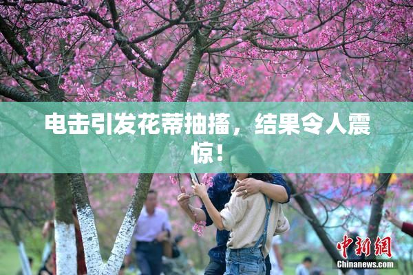 电击引发花蒂抽搐，结果令人震惊！
