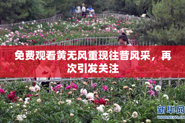免费观看黄无风重现往昔风采，再次引发关注