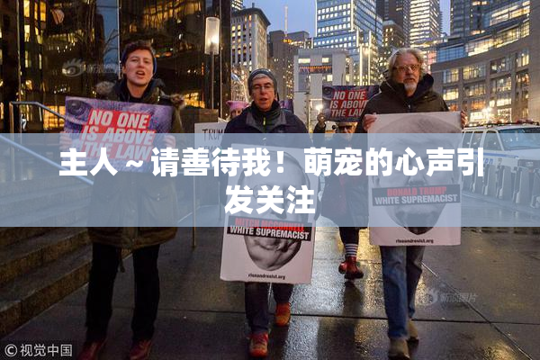 主人～请善待我！萌宠的心声引发关注