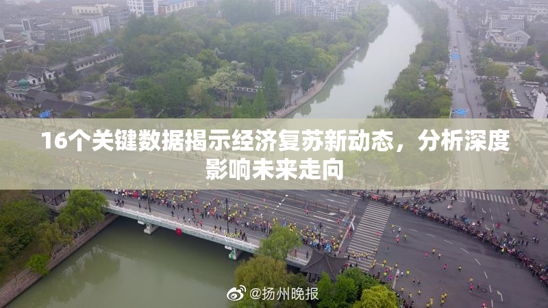 16个关键数据揭示经济复苏新动态，分析深度影响未来走向