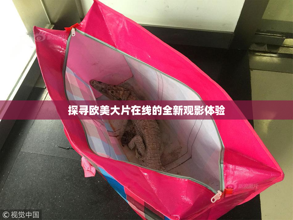 探寻欧美大片在线的全新观影体验