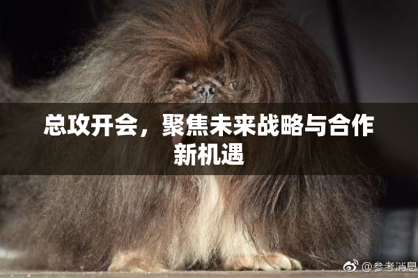 总攻开会，聚焦未来战略与合作新机遇