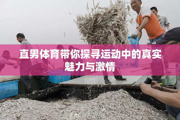 直男体育带你探寻运动中的真实魅力与激情