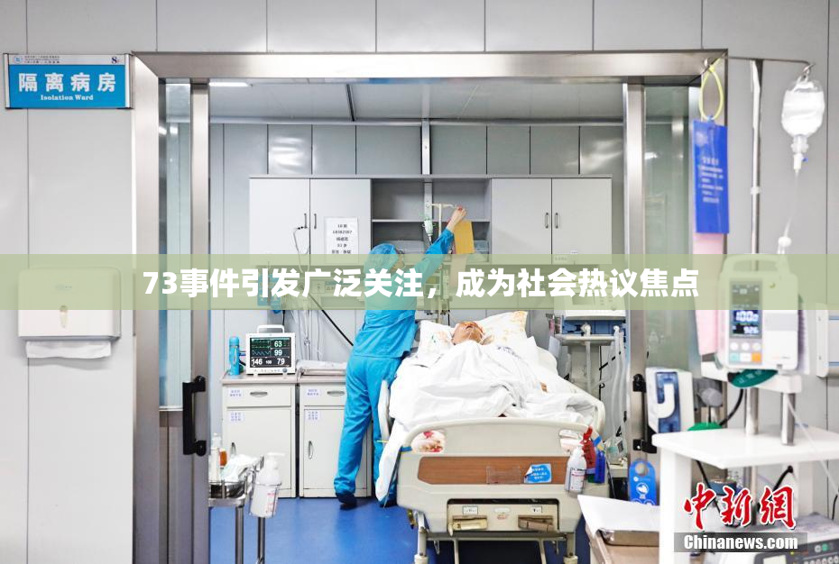 73事件引发广泛关注，成为社会热议焦点